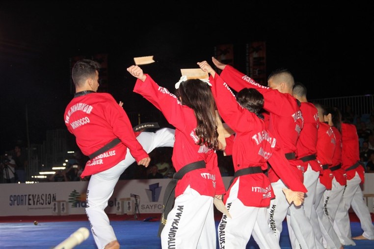 Martial Arts Festival